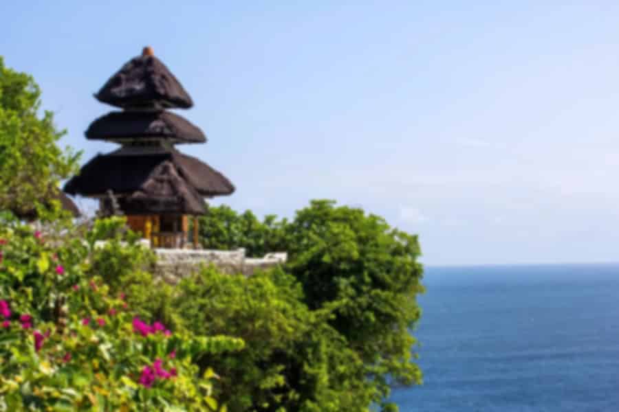 Bali Thrills & Serenity