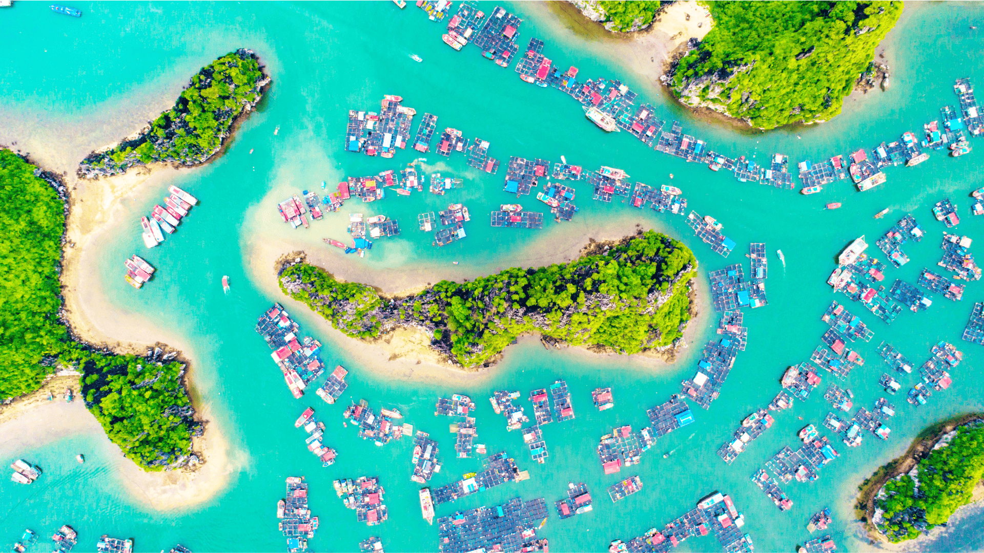 Islands near singapore