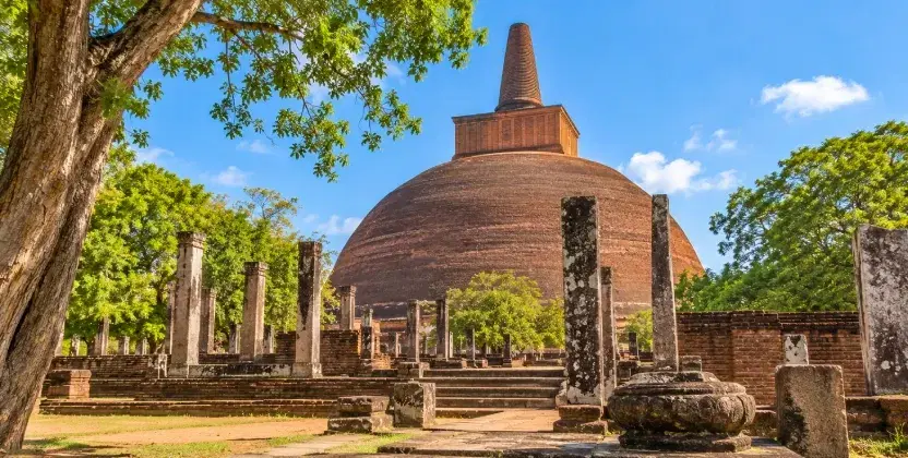 Ancient Stupa Amidst Lush Ruins