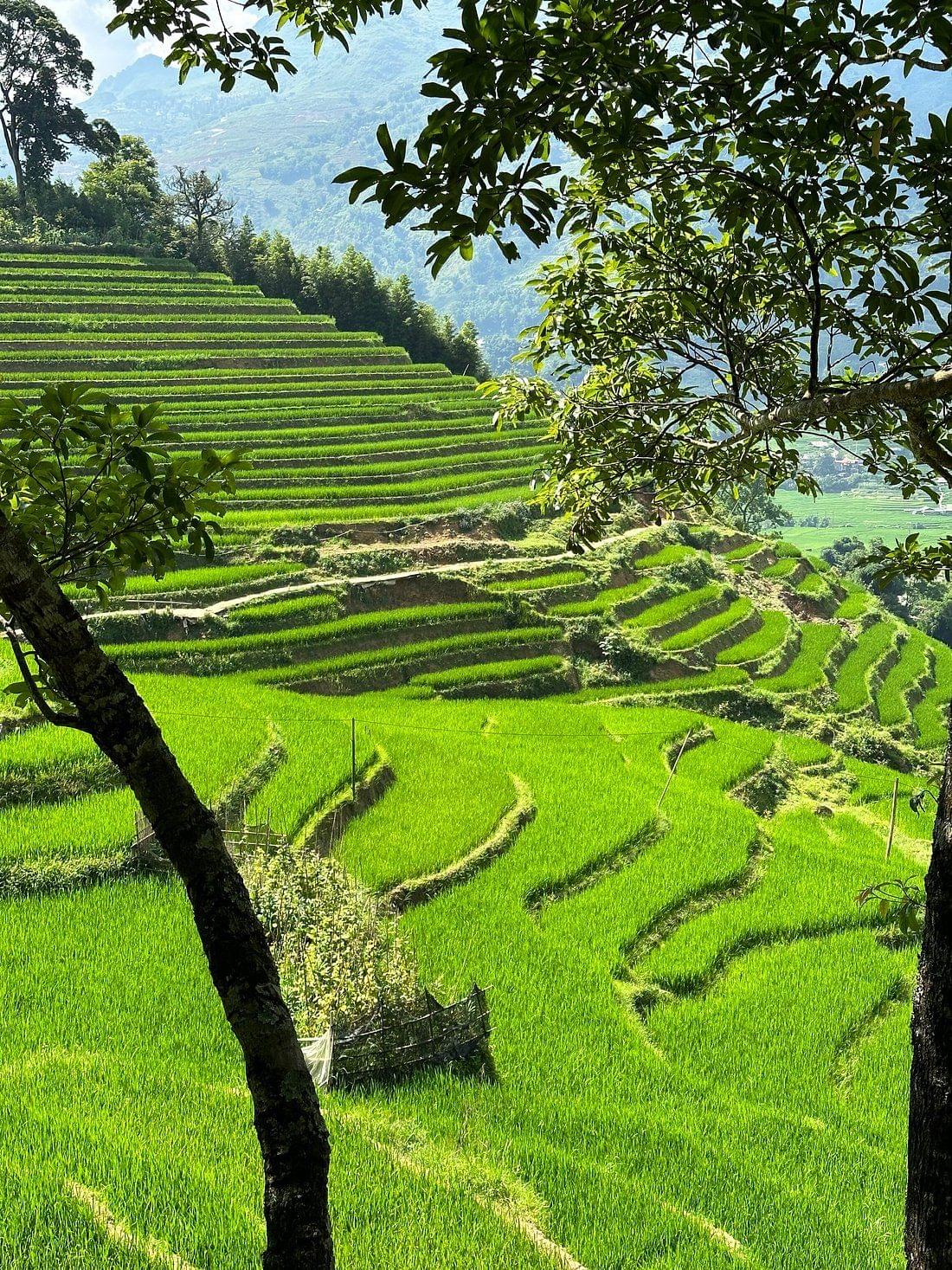 Adventure at Trang Kenh