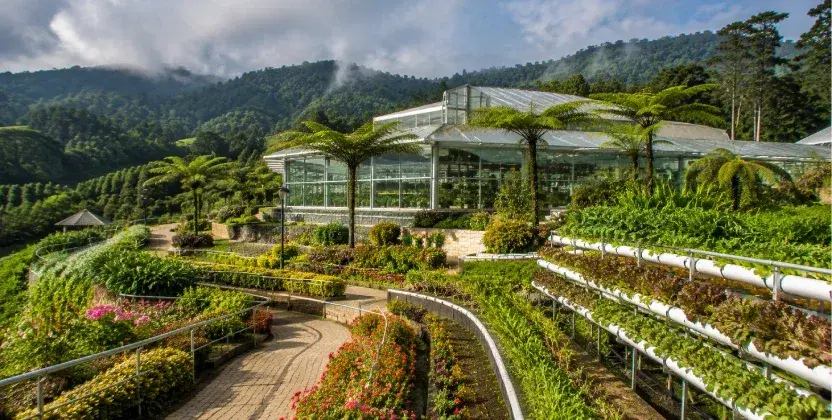 MARDI Agro Technology Park featuring gardens and greenhouses