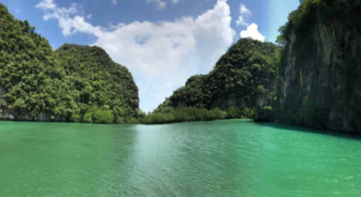Ao Luk Mangroves and Caves Krabi Guide: Highlights, Nature & Visiting Tips