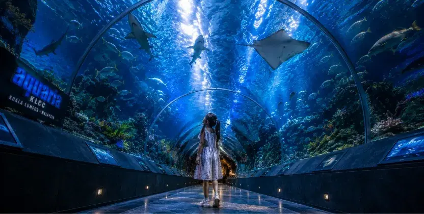 Aquaria KLcc is one of the family friendly places to visit in Kuala Lumpur
