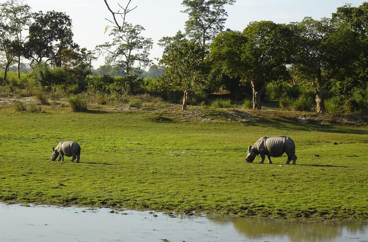 Winter in Assam