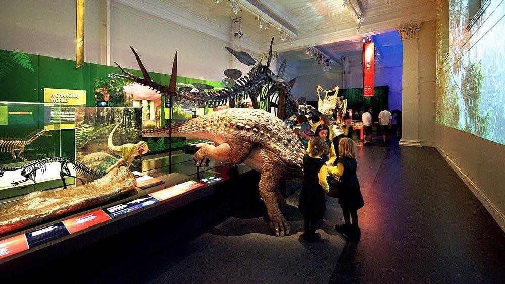 Australian Museum gallery