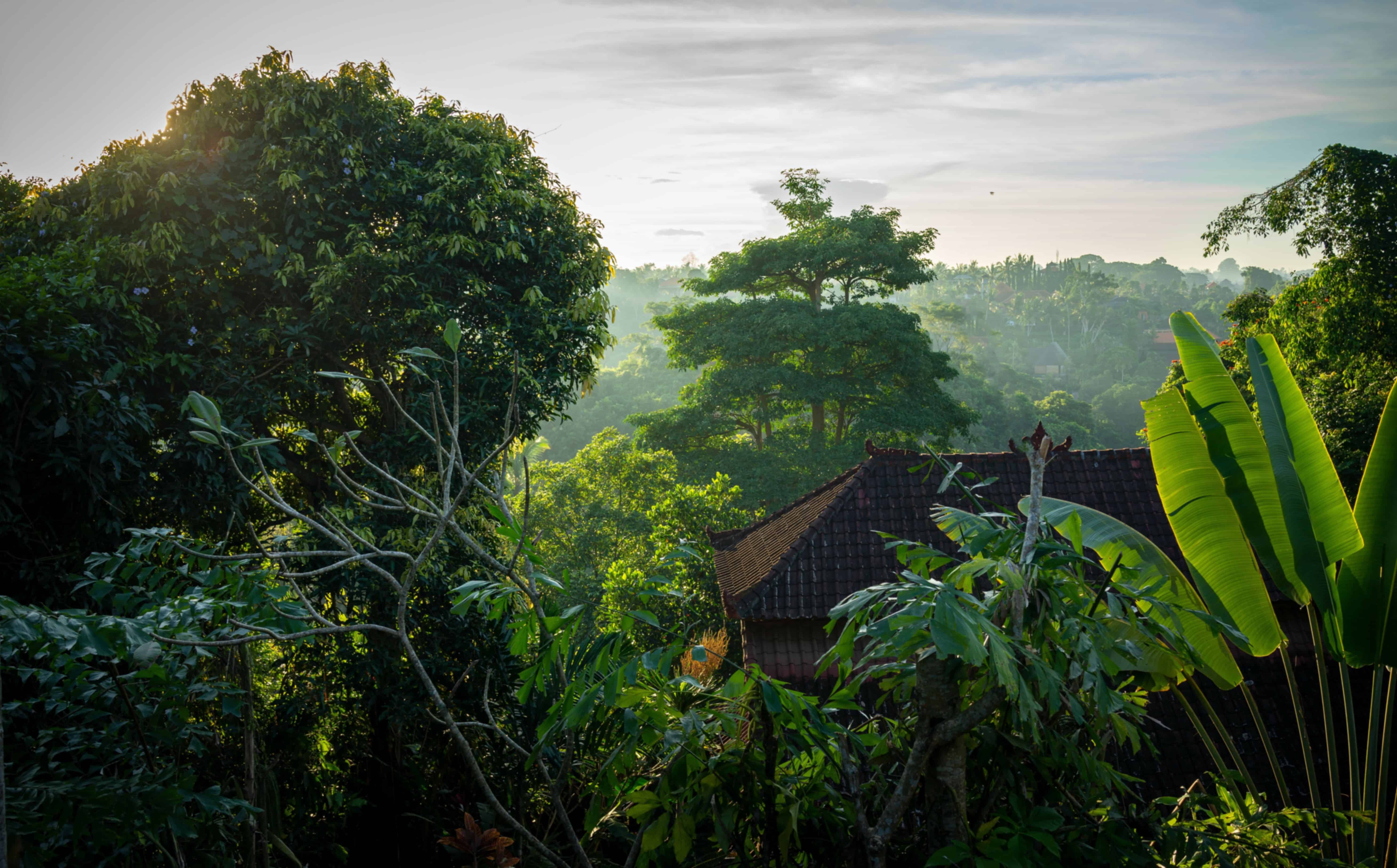 Bali in December 2026: What to Expect Before You Go 