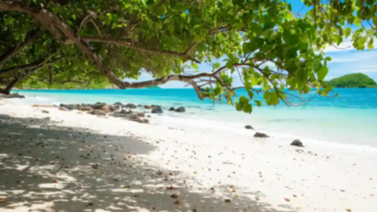 7 Best Beaches Near Bangkok 2026: Distance, Travel Time & Budget Guide for Indians