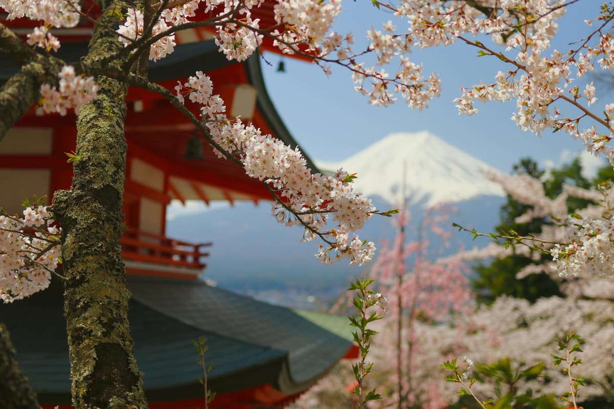 Best Places to Visit in Japan During Spring