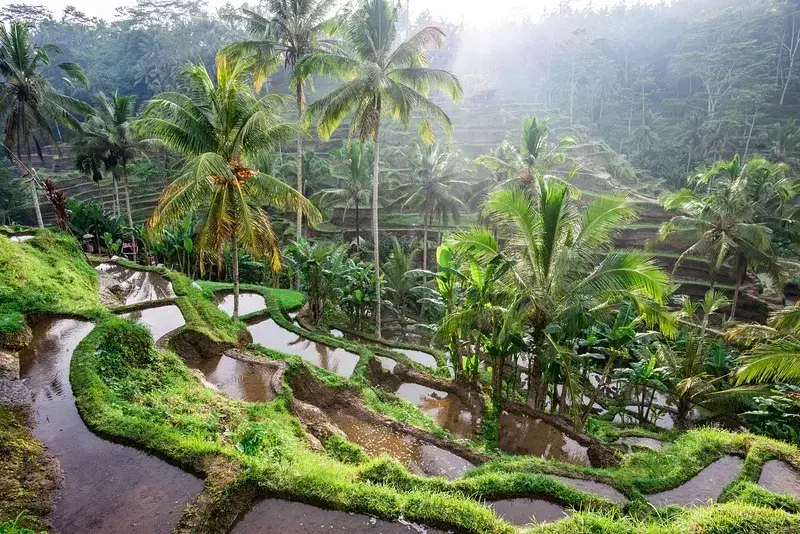 Best Time to Visit Bali for Scenic Viewpoints