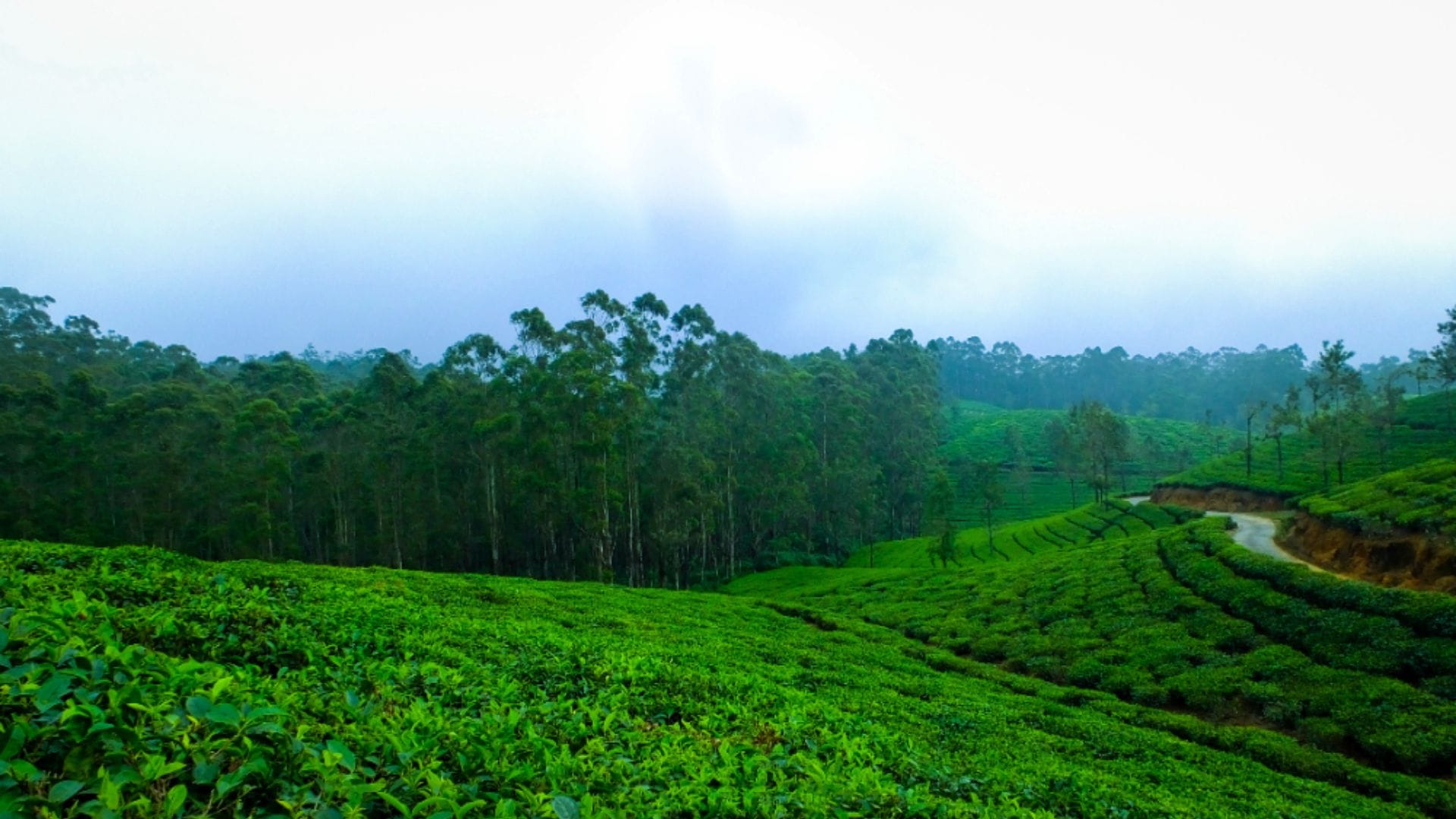 Best Time to Visit Jharkhand