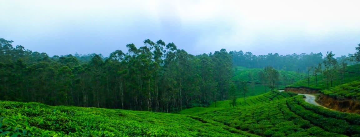 Best Time to Visit Jharkhand