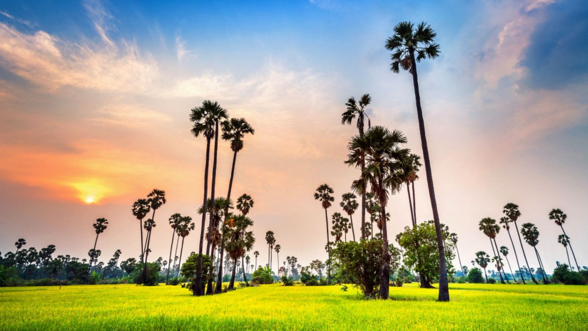 Best Time to Visit West Bengal