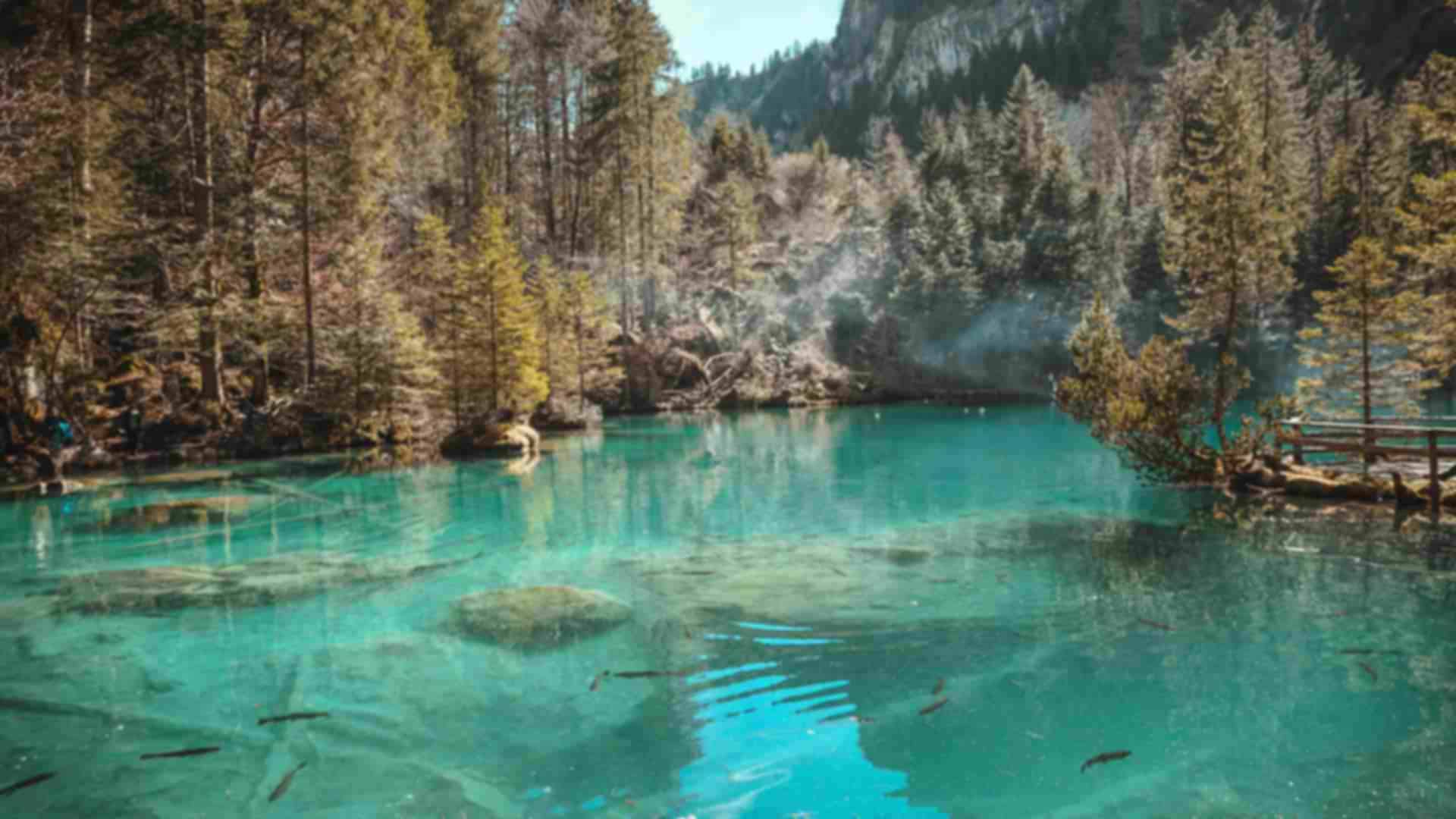 Blausee Lake Switzerland: The Complete Travel Guide (2026)