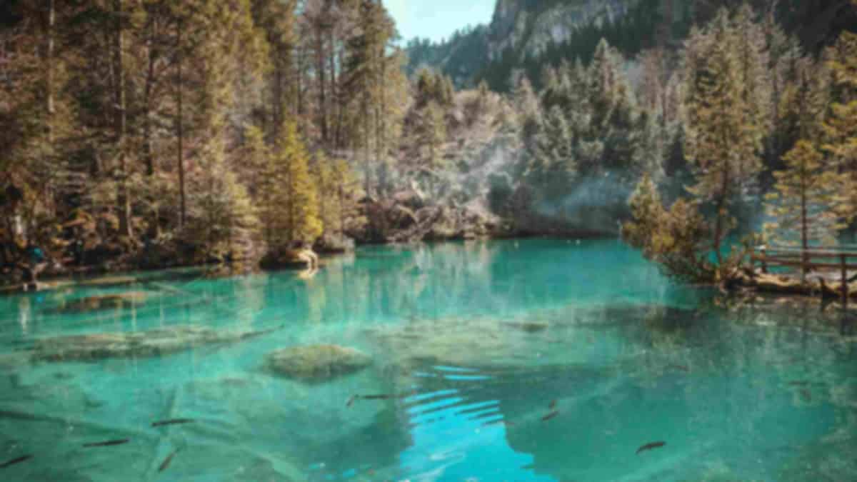 Lake Blausee Switzerland: The Complete Travel Guide (2026)