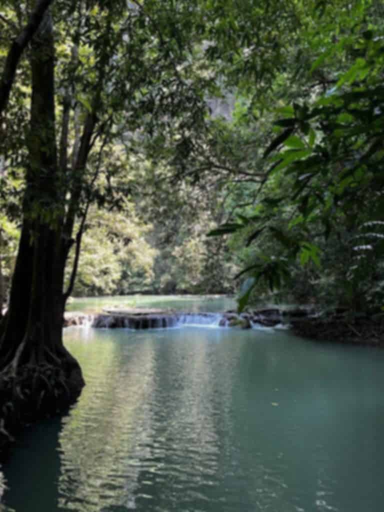 Than Bok Khorani National Park – Nature's Sanctuary in Krabi