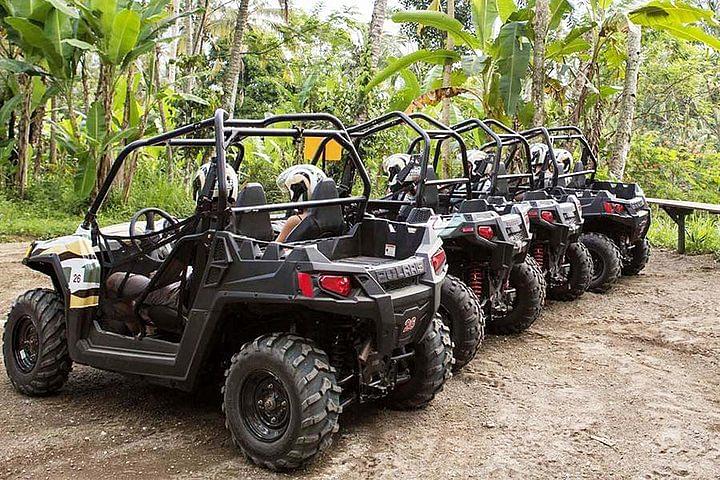 Buggy driving in Gianyar.jpeg