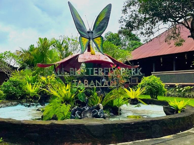 Butterfly-park-bali