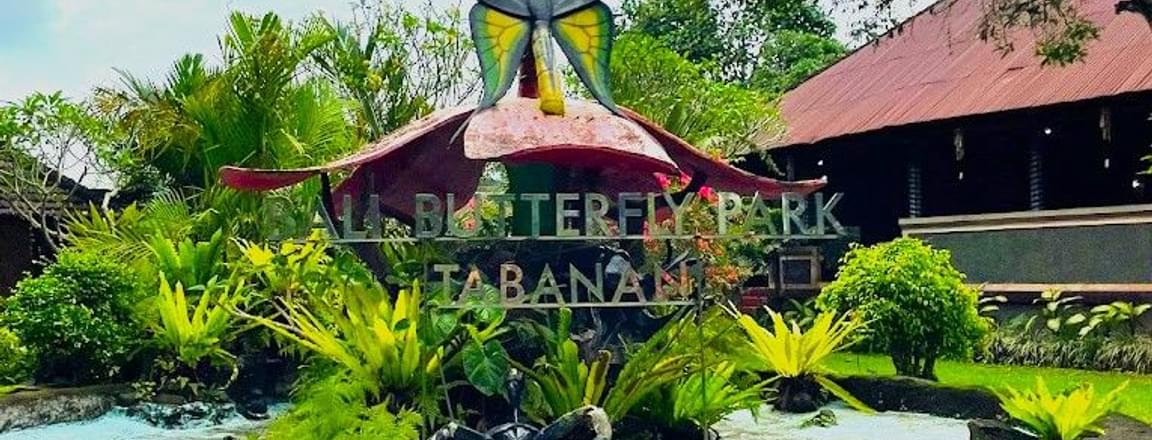 Butterfly-park-bali