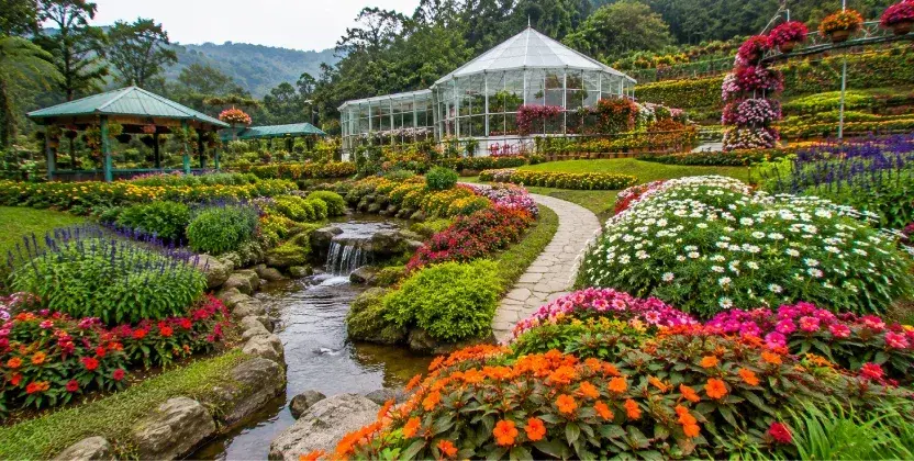 Cameron Highlands Flora Park showcasing colorful gardens