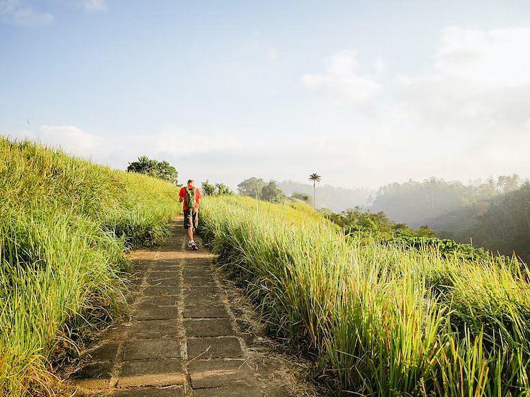 Campuhan Ridge Walk .jpg