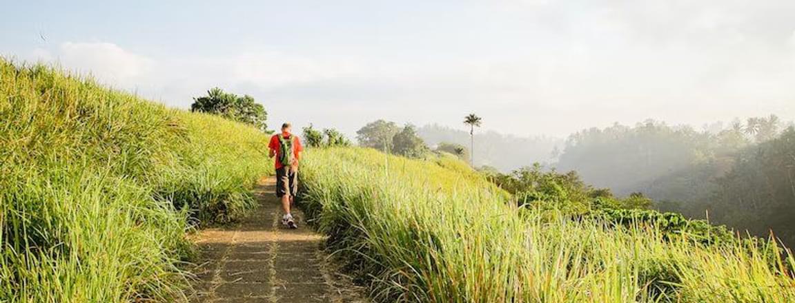 Campuhan Ridge Walk .jpg
