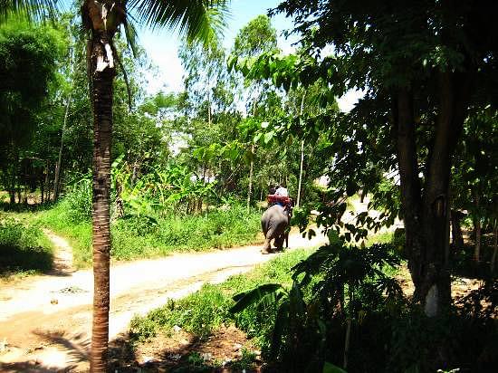 Chang Siam Park.jpg