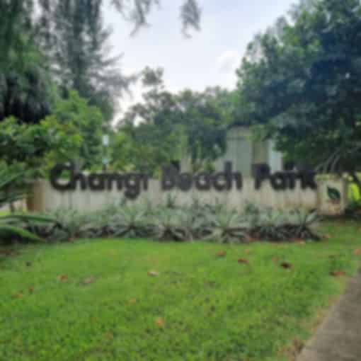 Changi Park Singapore: Complete Guide to This Peaceful Seaside Escape