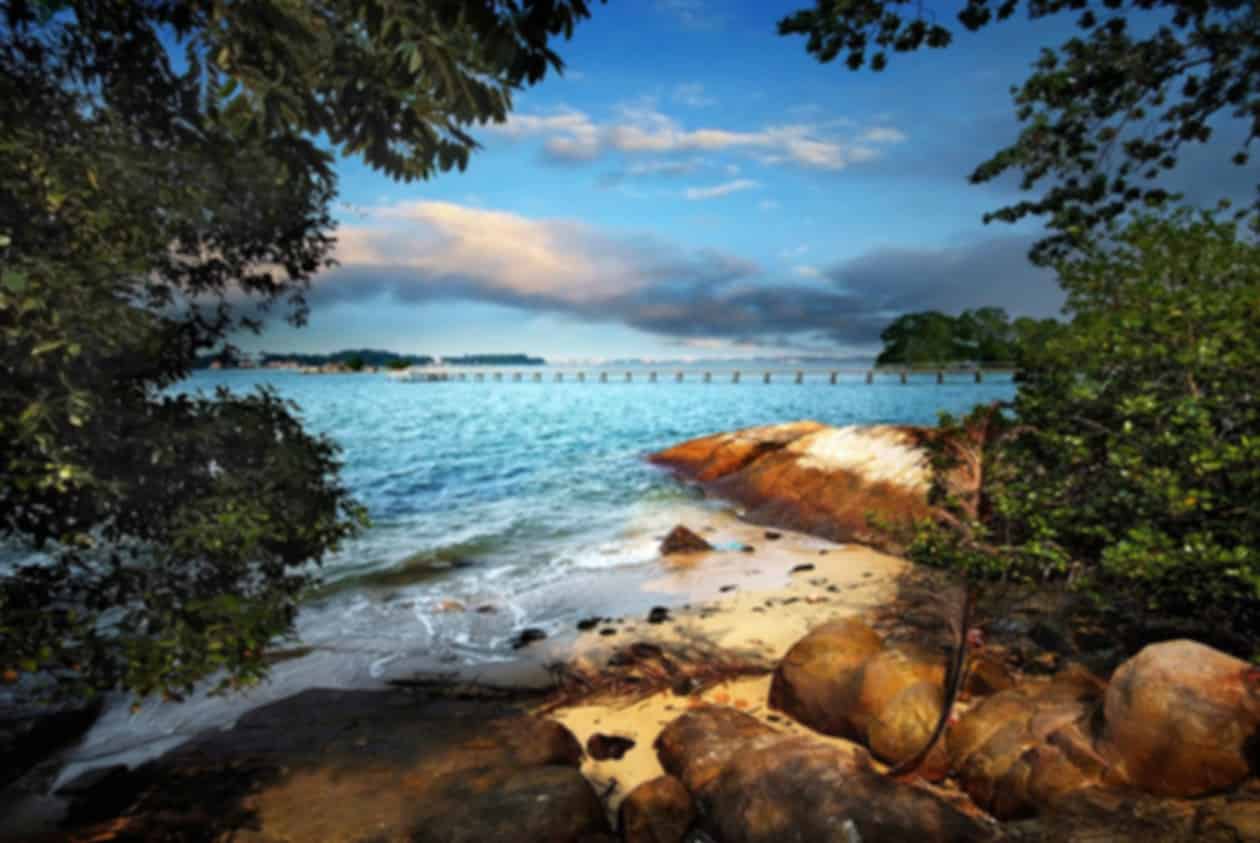 Chek Jawa Wetlands Singapore 2026: Complete Guide to Pulau Ubin’s Hidden Coastal Gem