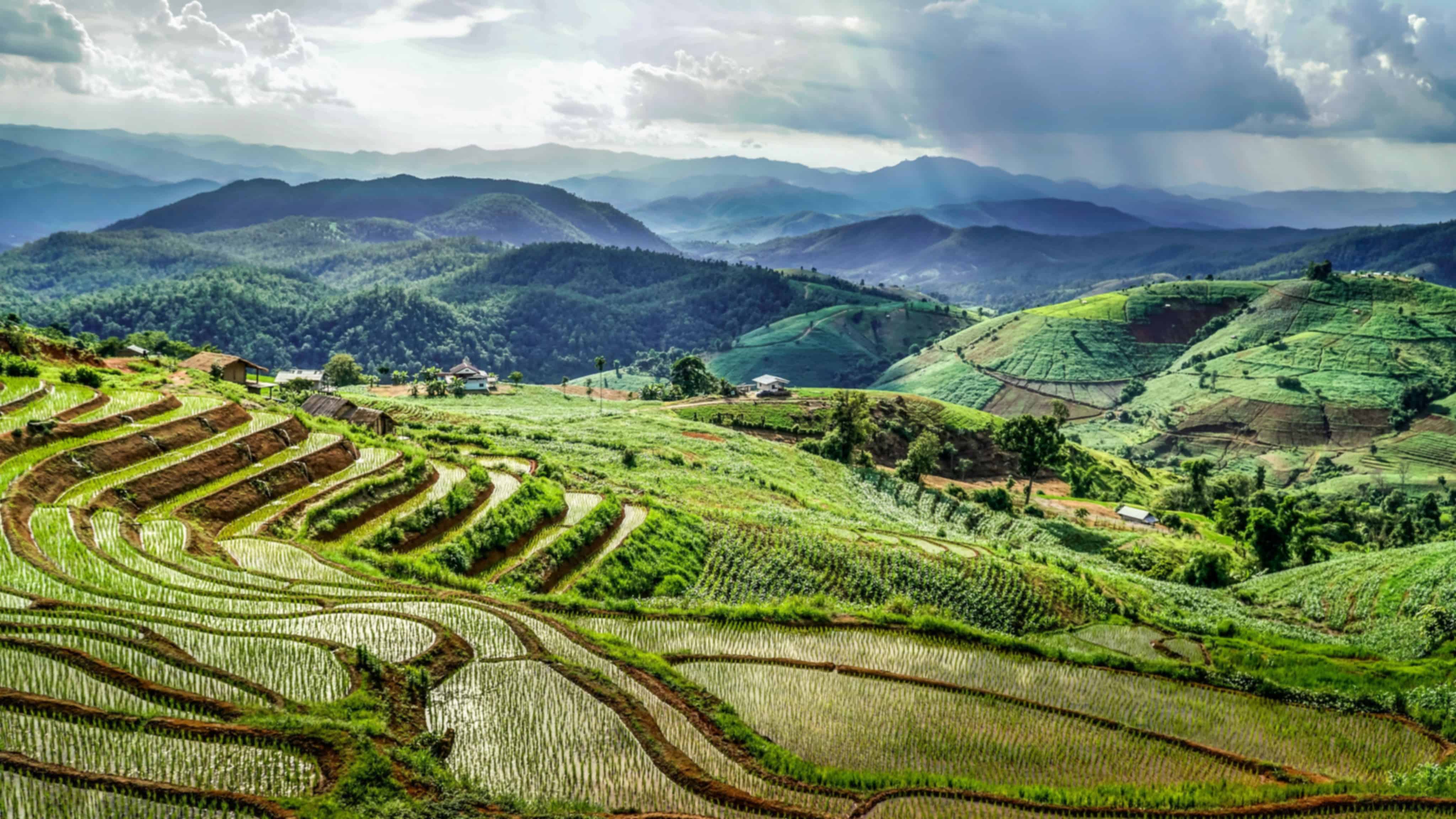 Chiang Mai Night Safari: A Guide To Thailand’s Animal Paradise