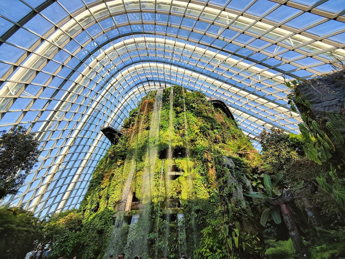 Cloud Forest Singapore