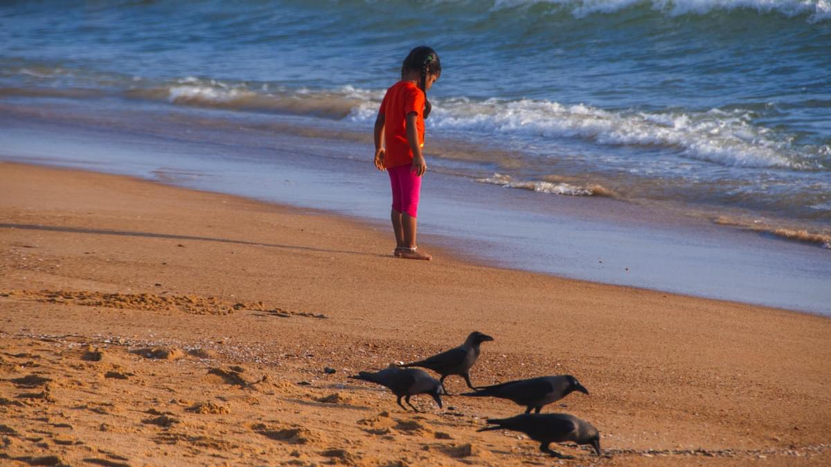 Coastal Town in Tamil Nadu