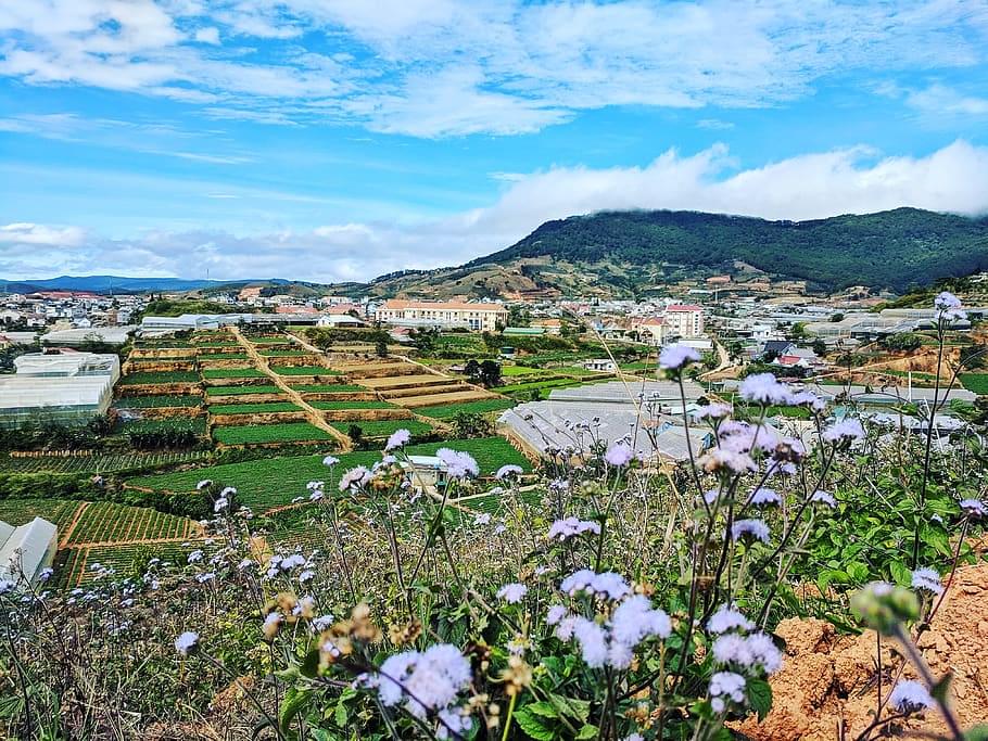 Things to Do in Dalat