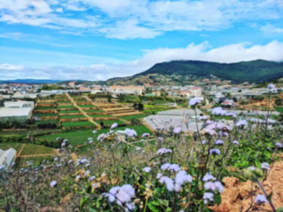 Things To Do In Dalat