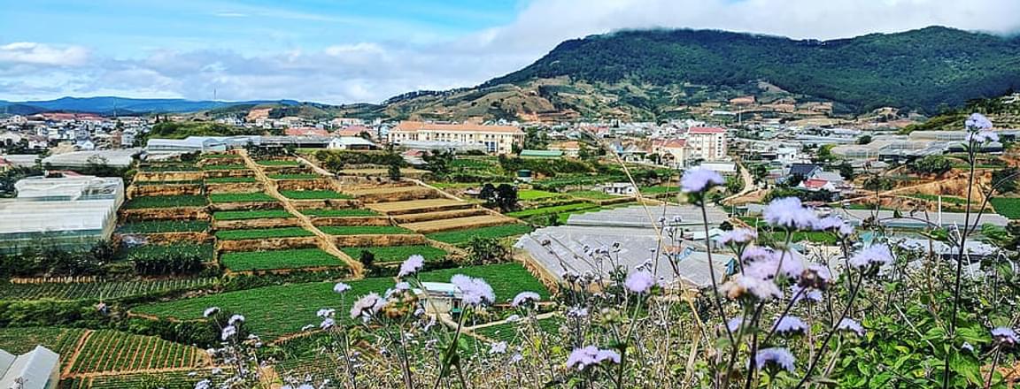 Things to Do in Dalat