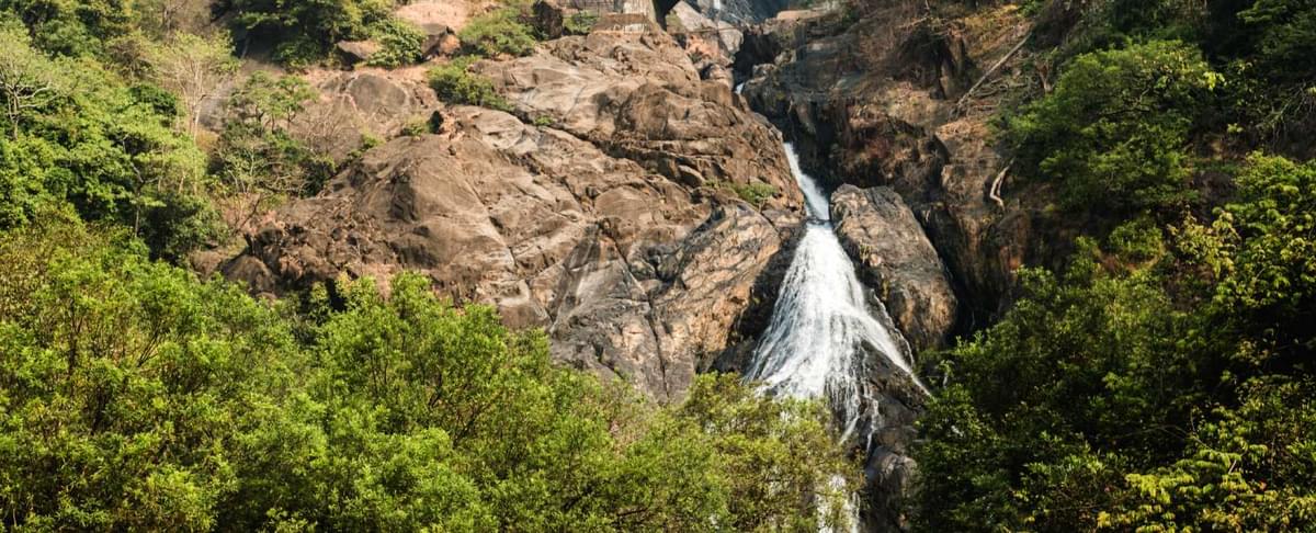 Dudhsagar Waterfalls in Goa