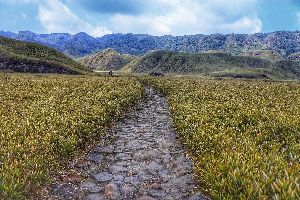 Dzukou Valley