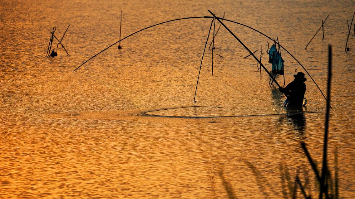 Fishing in Madhya Pradesh