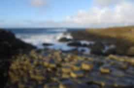 https://images.pickyourtrail.com/Giant_s_Causeway_558801245f.jpg?dpr=1&q=40