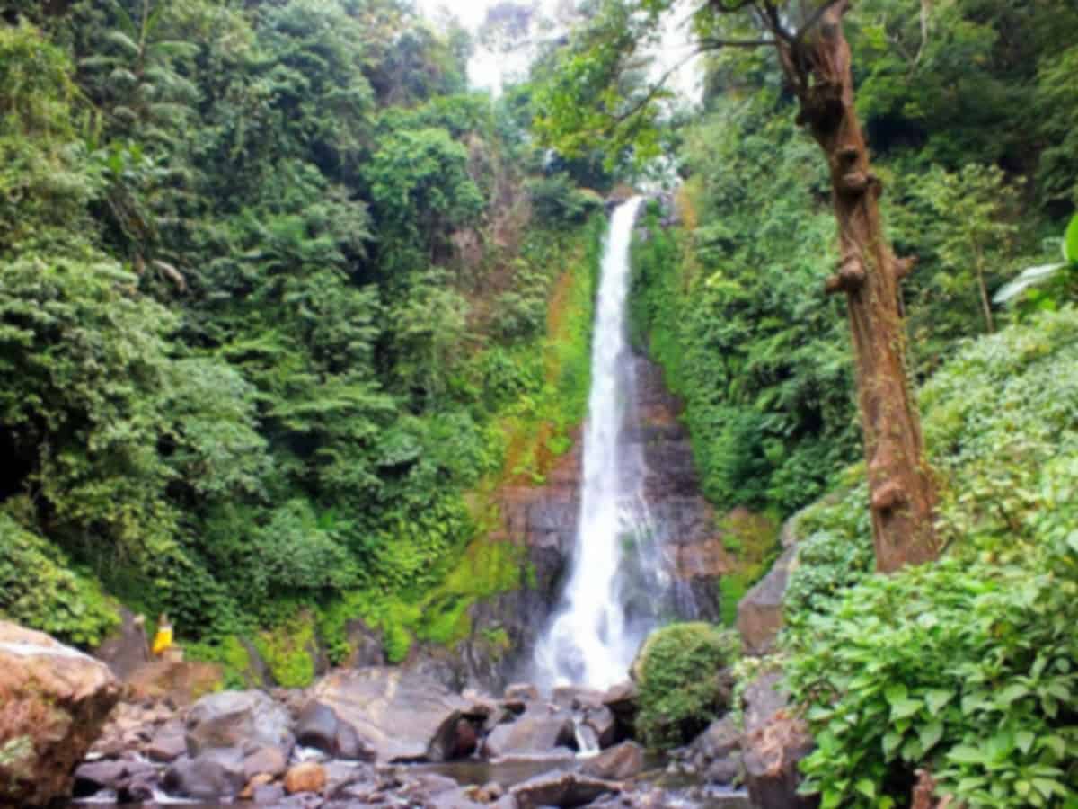 Gitgit Waterfall Bali Tickets, Location & Complete Travel Guide 2026