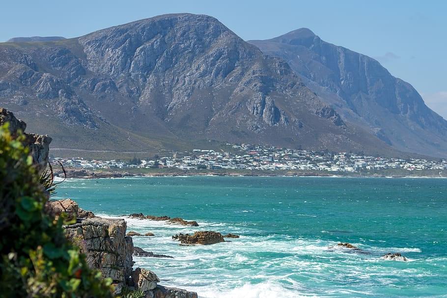 Hermanus