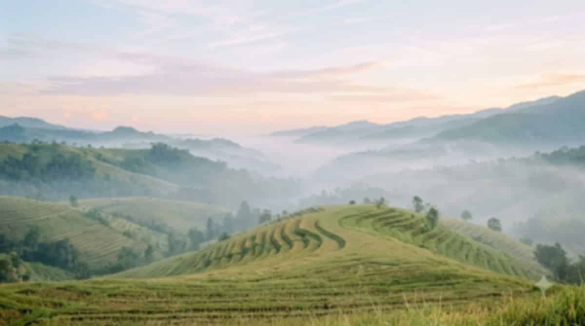 Best Time to Visit Munduk, Bali 2026: Month-by-Month Weather & Travel Guide