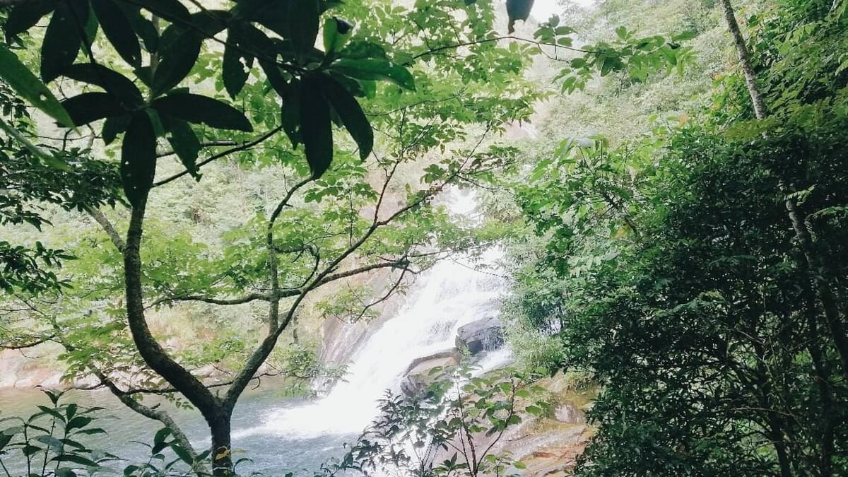 Hoang Lien National Park