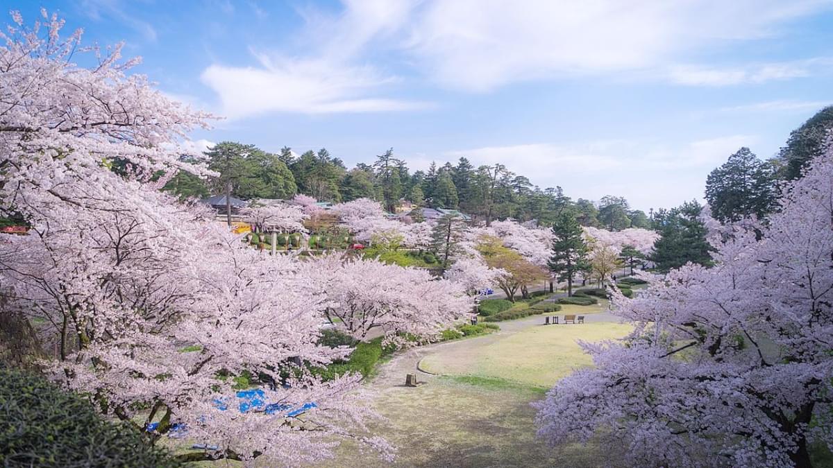 Spring in Japan