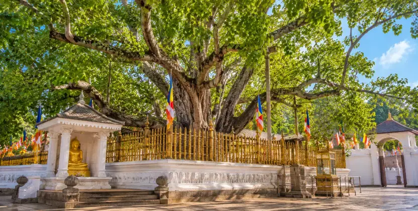 Jaya Sri Maha Bodhi Shrine Enclosure in Anuradhapura