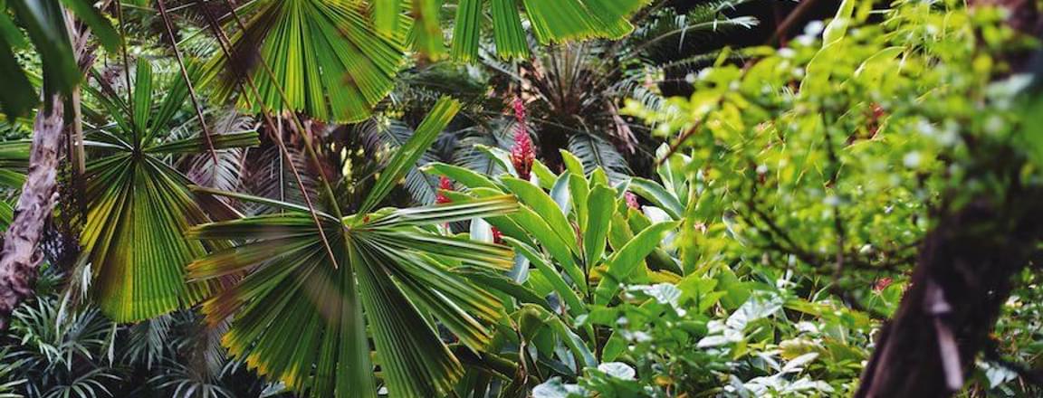 Jim Thompson House .jpg