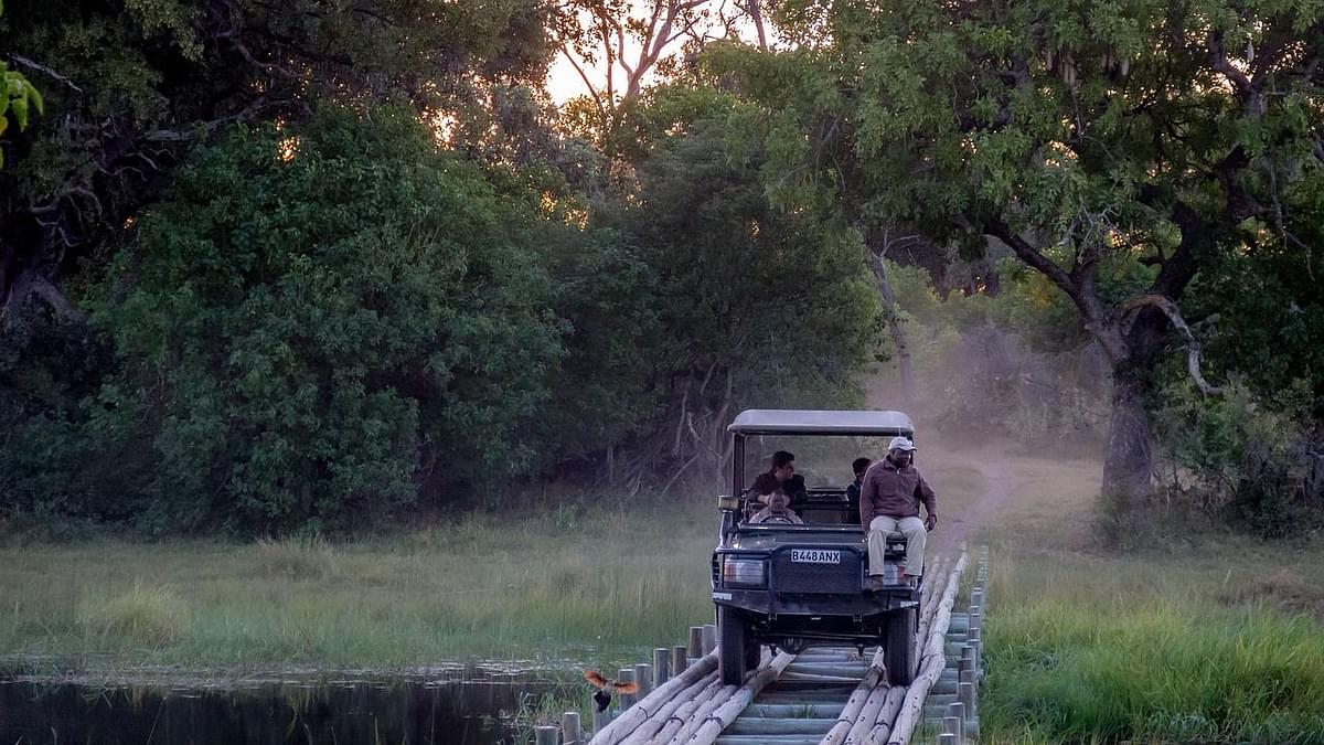 Jungle safari in Maharashtra