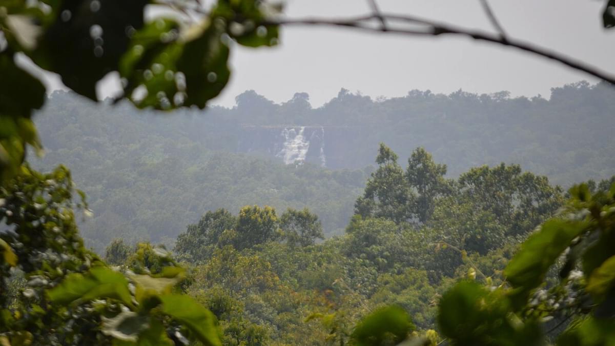 Kanger Valley National Park in Chattisgarh