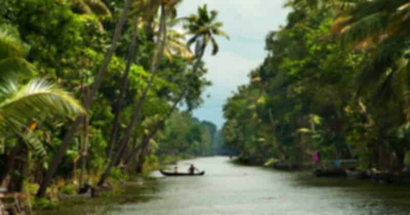 Kerala_in_Moonsoon_7213ef5eb5.jpg