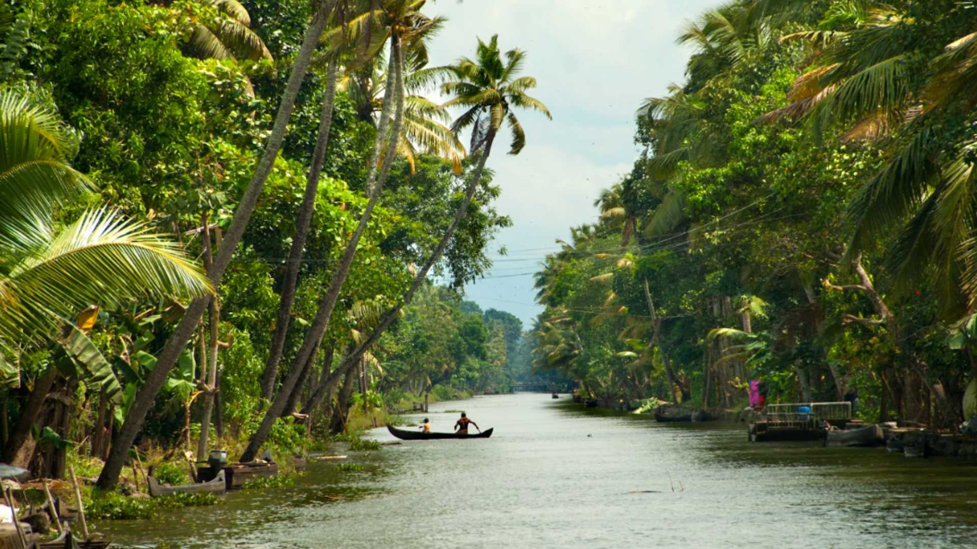 Kerala_in_Summer_382be95b07.jpg