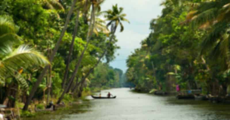 Kerala_in_Summer_382be95b07.jpg